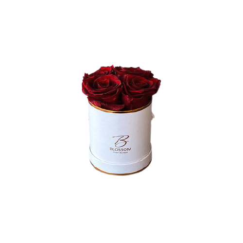 Infinite Roses - Small Box