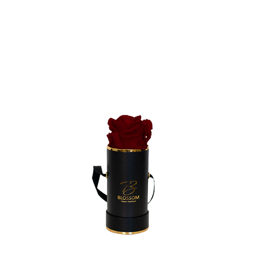 ֿInfinite Roses - Small Box with ONE ROSE