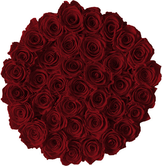 Infinite Roses - Extra Large Box